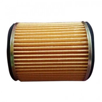 Mestro Edge Air Filter