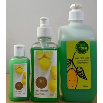 FRESH N SHINE HANDWASH 100ML,250ML,500ML